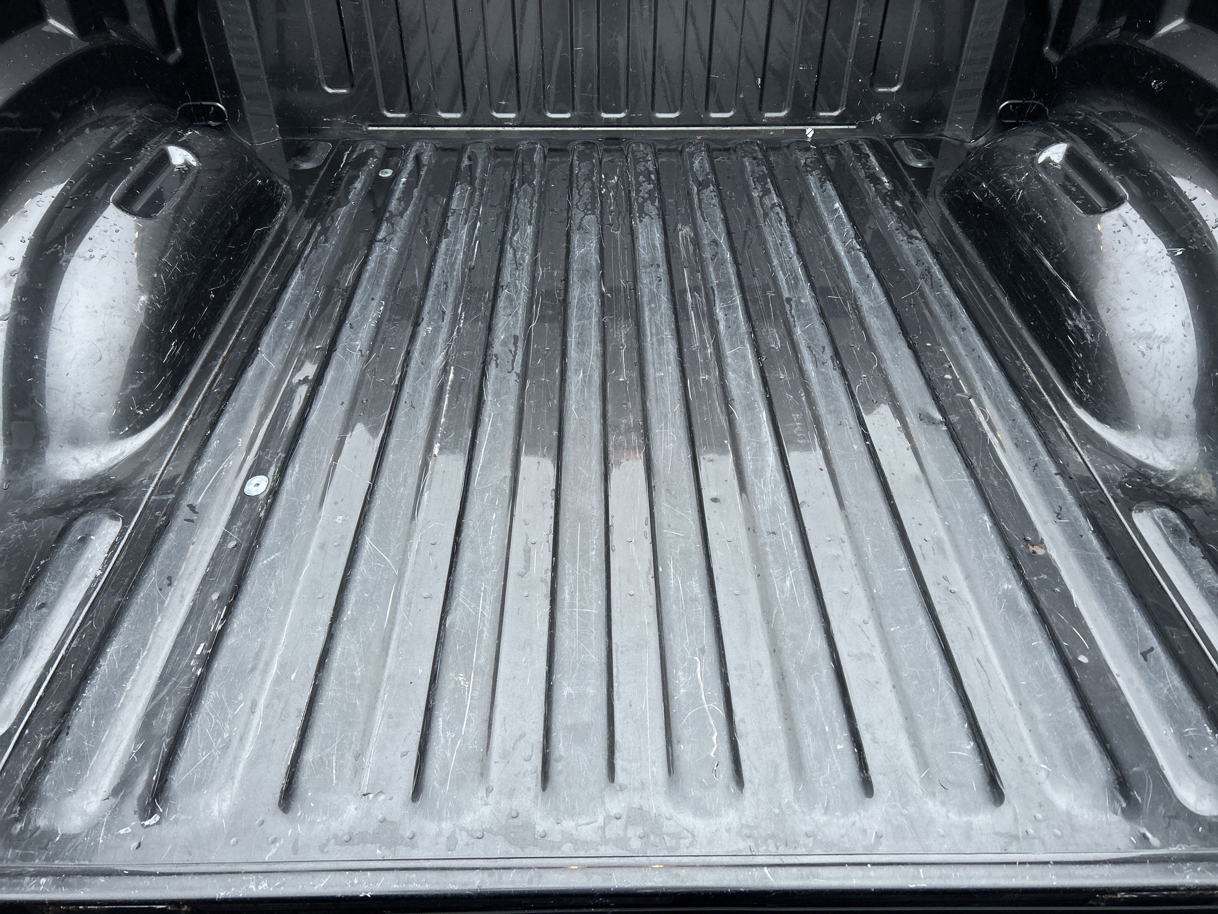 2019 RAM RAM 1500 REBEL