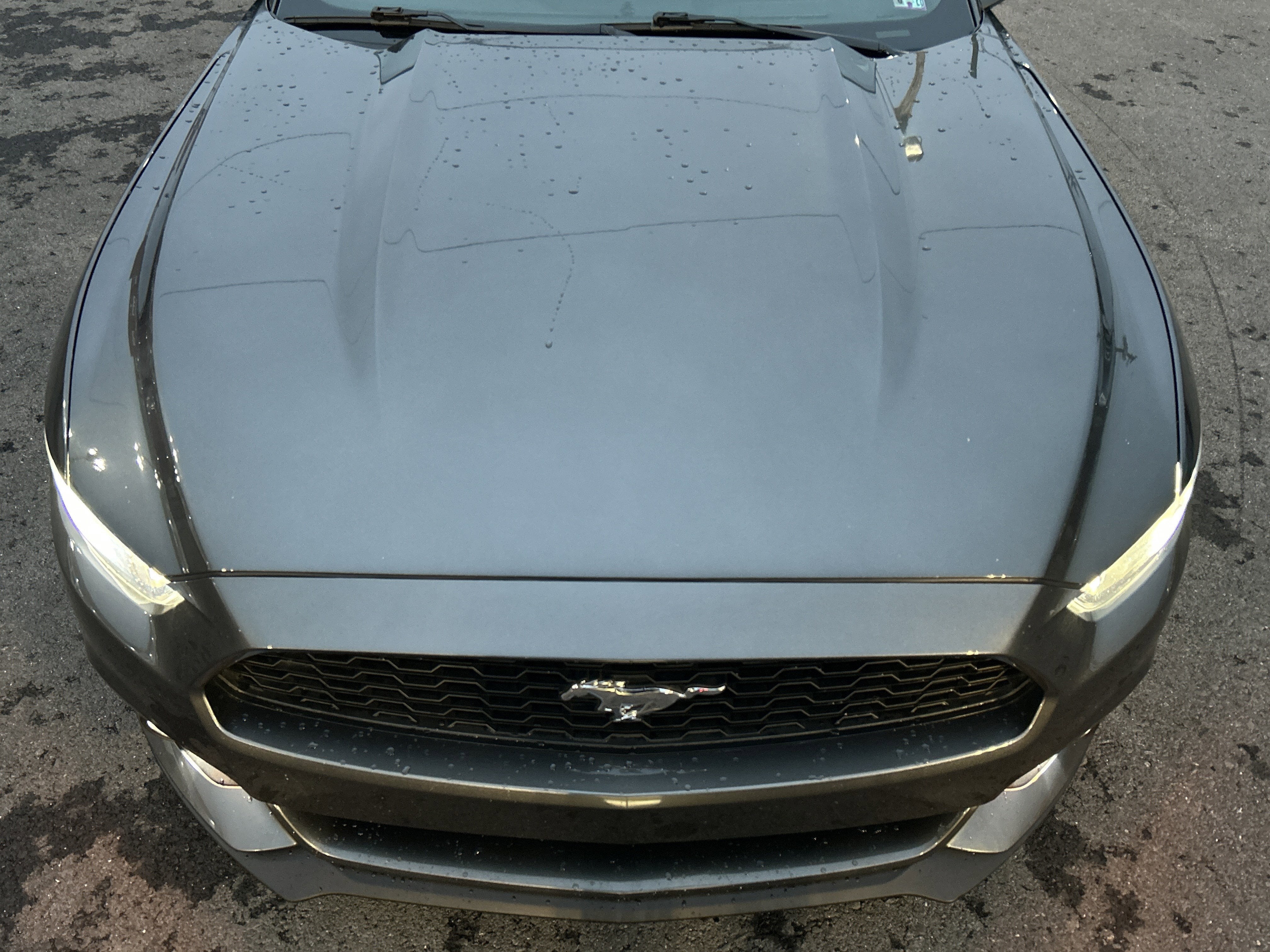 2016 Ford MUSTANG ECO PREMIUM